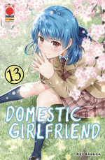 Domestic Girlfriend